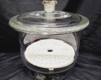 	Large Glass Laboratory Desiccator 10.5"
