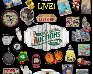 Auction Now LIVE