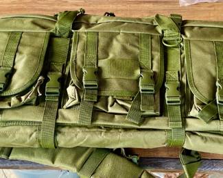 AR-15 Gun Case
