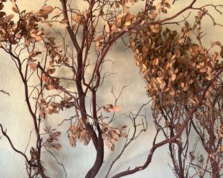 Dried Branches
