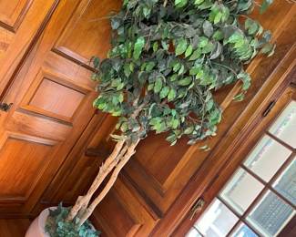 180 Oversized Faux Ficus Imin