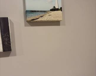 Prints of Florida on canvas 