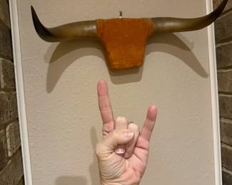 Hook 'Em