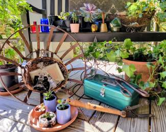 Plants, Old Metal Items, Mini Crocks & Fun Finds