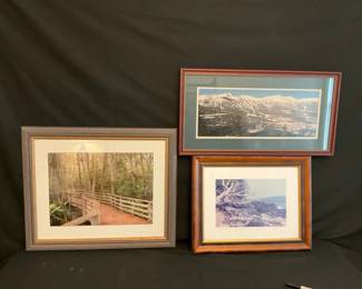 Nature Scenes Trio