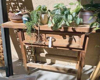 Side table + assorted plants (real + faux)