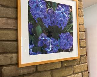 Dallas Arboretum artwork / framed photos