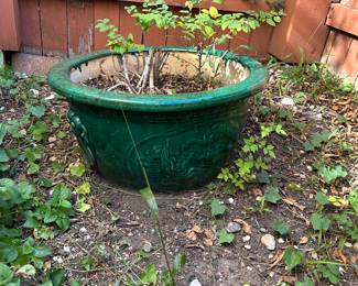 Large pots