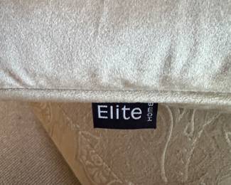 Pair of Elite Velour Pillows. Photo 1 of 2.