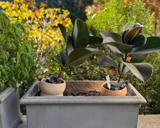 Composite Planters - 2 Available.