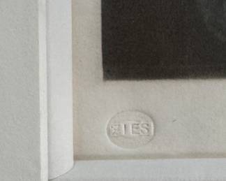 "Roses" from The Tempal of Flora. Signed by Artist Arthur Hogg (British, 1872-1949). Measures 14" W x 17.5" H; 25.5" W x 29.5" H Overall. Photo 3 of 3.