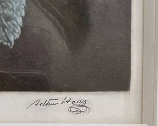 "Roses" from The Tempal of Flora. Signed by Artist Arthur Hogg (British, 1872-1949). Measures 14" W x 17.5" H; 25.5" W x 29.5" H Overall. Photo 2 of 3.