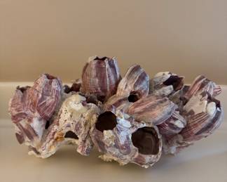 Vintage Barnacle Cluster - 5 Available. Photos 2 of 3.
