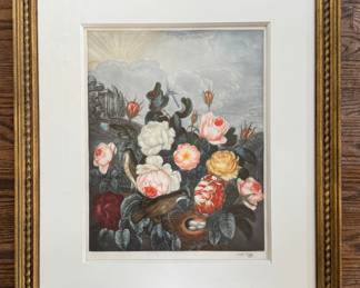 "Roses" from The Tempal of Flora. Signed by Artist Arthur Hogg (British, 1872-1949). Measures 14" W x 17.5" H; 25.5" W x 29.5" H Overall. Photo 1 of 3.