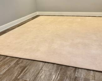 Area Rug - 11' x 13'