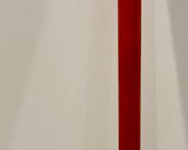 Walking Cane with Brass Duck Head