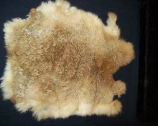 Pelt