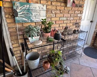 Plants