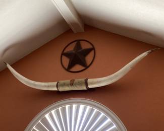 Longhorn steer horns 6’