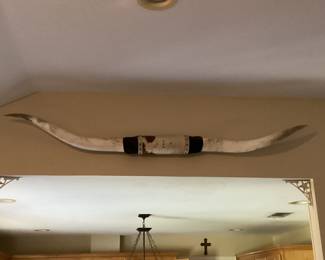 Longhorn steer horns