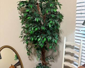 Silk Ficus Tree