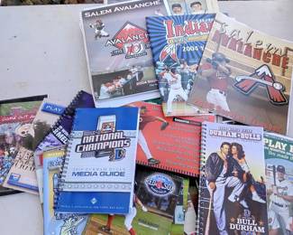 Minor League Baseball Lot