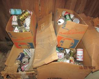 Beer can collection