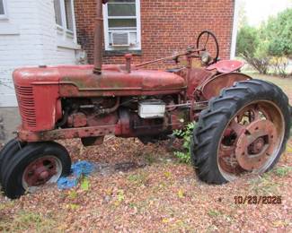 Antique suicide steer