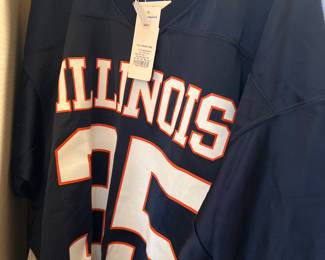 Champion Illinois Jersey