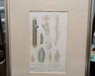 G91-Sea shell print, linen mat, 125