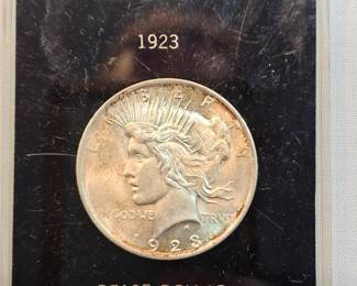 1923 Peace Dollar In Case