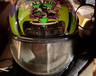 . . . DOT Cat's Pride helmet