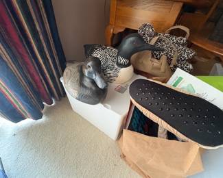 . . . great loon and canvas back loons