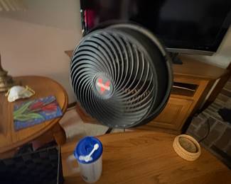 . . . fan