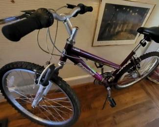 Roadmaster Granite Peak Bicycle