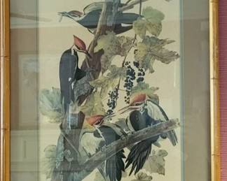 Pileated WoodpeckerArt