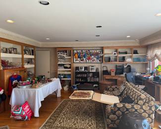 Den full of everything!