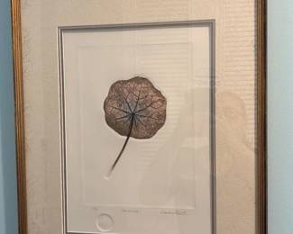 Framed Botanical Print of a Nasturtium Leaf by Carolillo