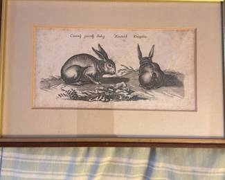 Antique "Cuniculus paca" and "Cuniculus" Lithograph