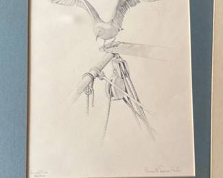 Pencil Drawing of a Bird and Ship Rigging
