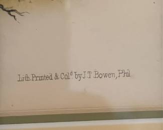 Parry's Marmot Squirrel Lithograph