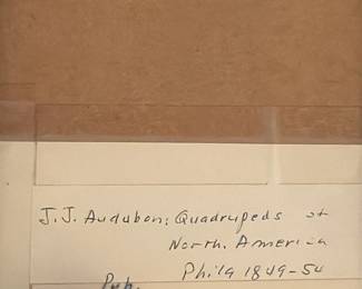 Parry's Marmot Squirrel Lithograph