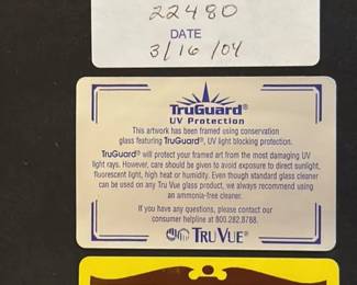 Yellow shanked Snipe Lithograph by J.J. Audobon