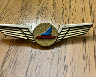 Vintage Piedmont Junior Flyer Wings