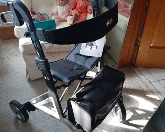 BB Alevo   This is the best walker you can by!  It is designed by Porsche.