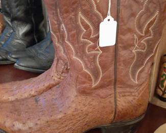 Tony Lama ostrich boots. There are about 12 pairs of cowboys boots in various sizes.