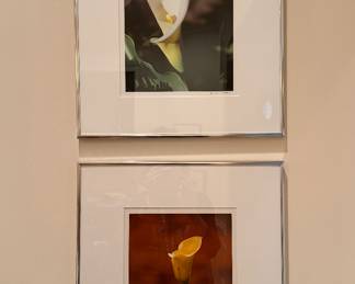Duncan Whitiker orignial framed photographs