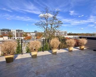 Large Ceramic Planters