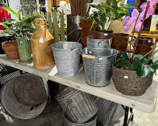 Metal buckets, plants