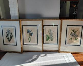Antique Botanicals x 4